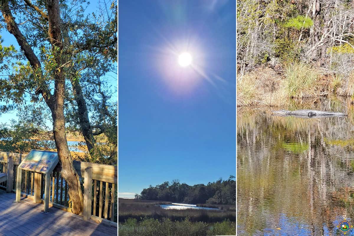 bayou images from Davis Bayou MS