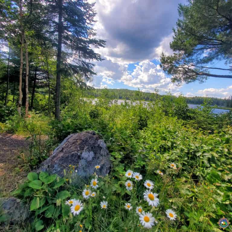Gunflint Trail Roadside Lake