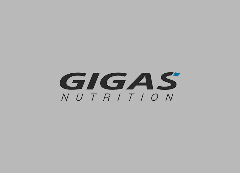 gn-rs 1 Logo