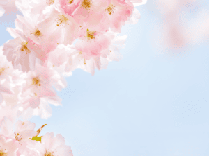 RA en positief denken. Kleine lichtpuntjes waarderen zoals bloesembomen in bloei