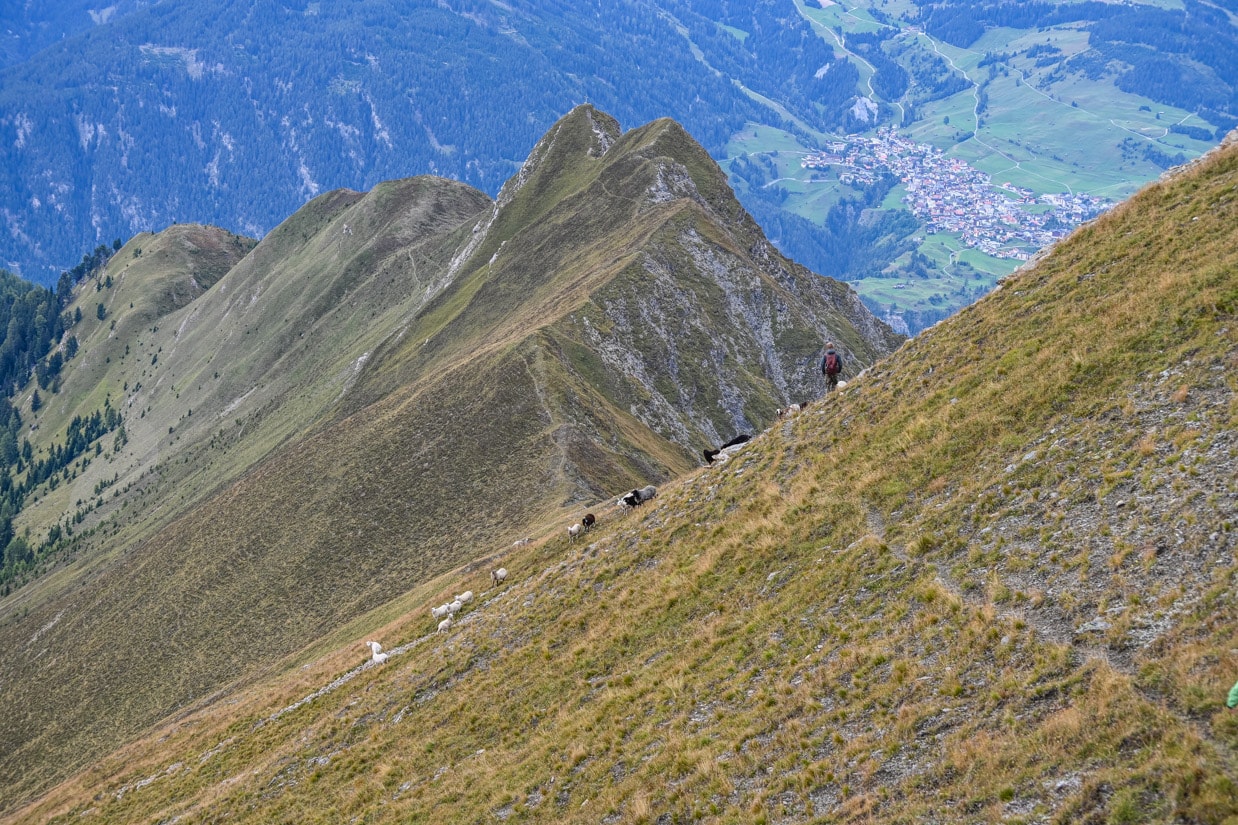 LIFEstockProtectLIFEstockProtect