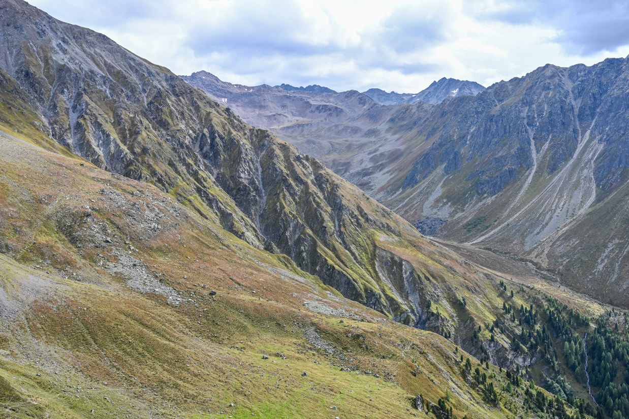 LIFEstockProtectLIFEstockProtect