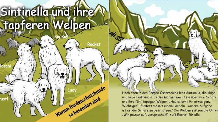 Sentinella-and-her-puppies