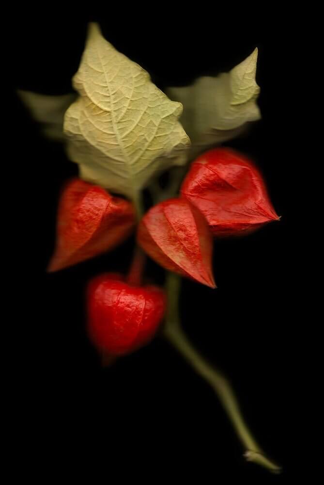 03da51c8-2b76-4196-ba22-0d3088d26788