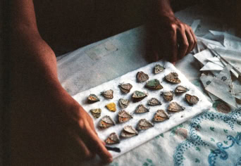 EGY MÁSFÉLE PILLANGÓ-HATÁS