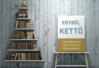 EGYBŐL KETTŐ