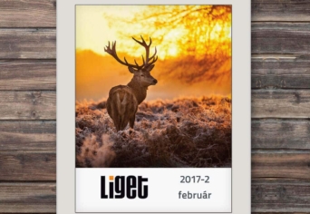 LIGET FOLYÓIRAT | 2017 MÁRCIUS
