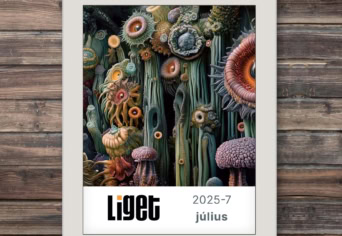LIGET FOLYÓIRAT | 2025 július