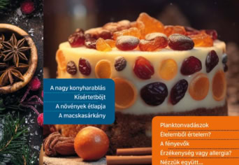 MEGJELENT A TÉLI SZITAKÖTŐ