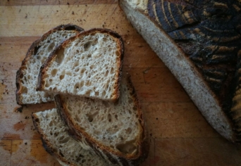 GYORS ROZSBARNA DARAB