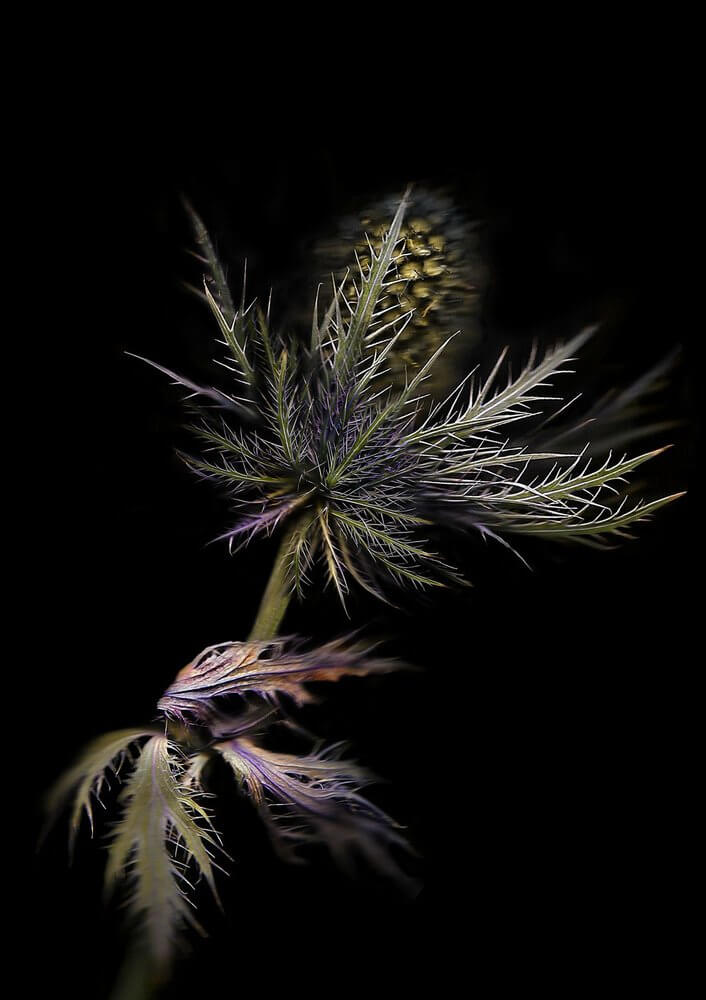 4ba3f8a0-6474-4e6e-b05a-701f3dd39c17