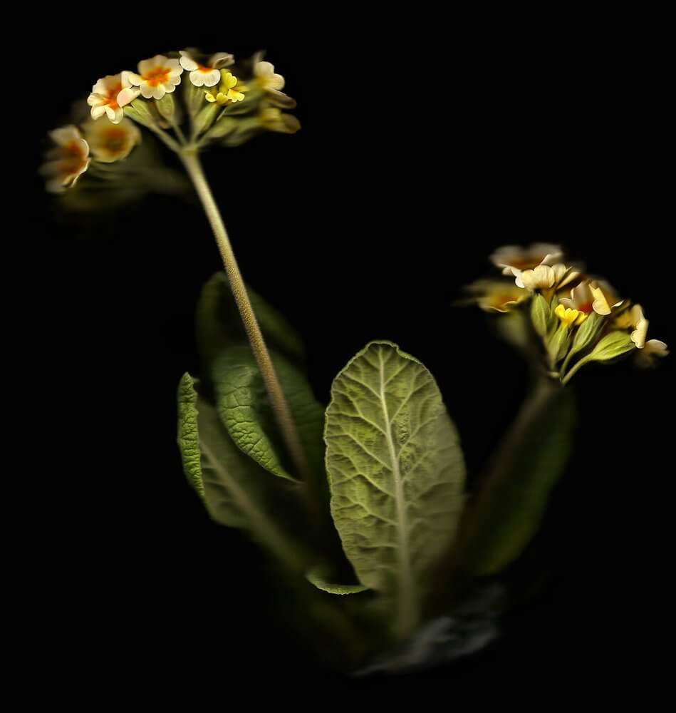 5ff8f0f7-c8b0-4e68-92b0-e9181814c6f9