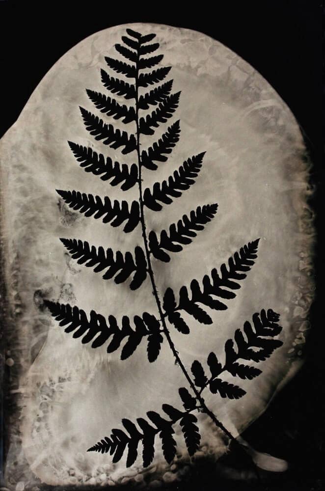 60881776-40f8-415c-8a82-5055cbd58ccd