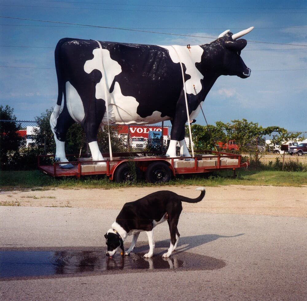 828d0cd9-09ce-431d-b875-2cc76b191de6