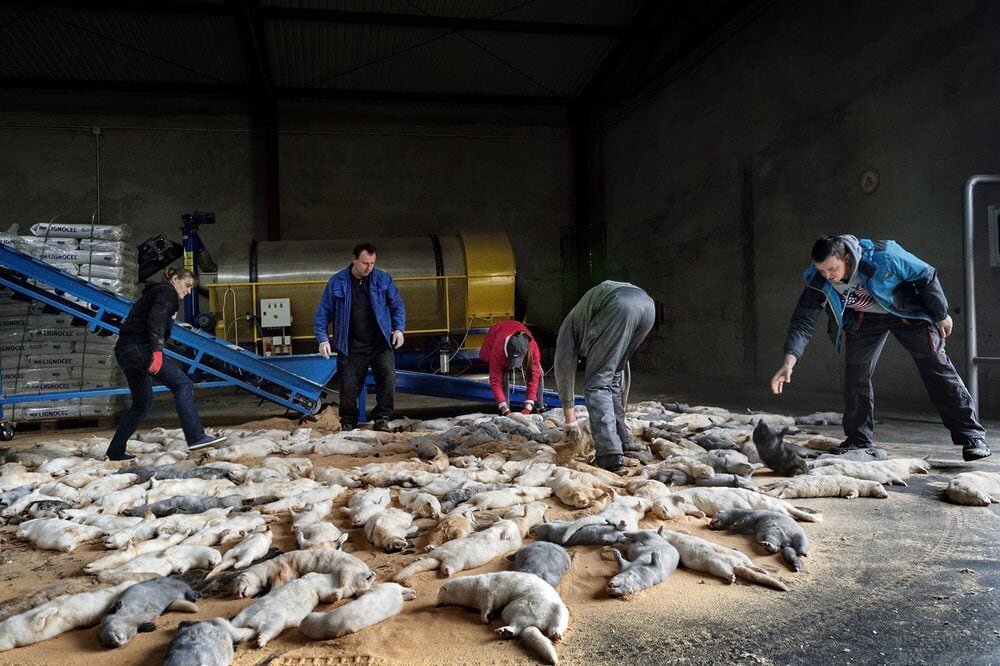 9e10b56485334e34af46430ebc028e30-large