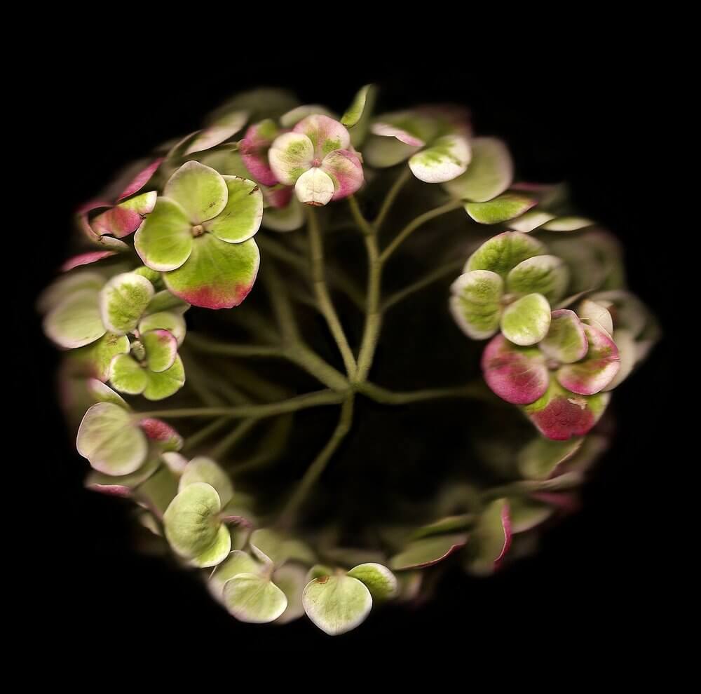 a45fe4d8-95ad-4edf-b3e9-8939a730f15f