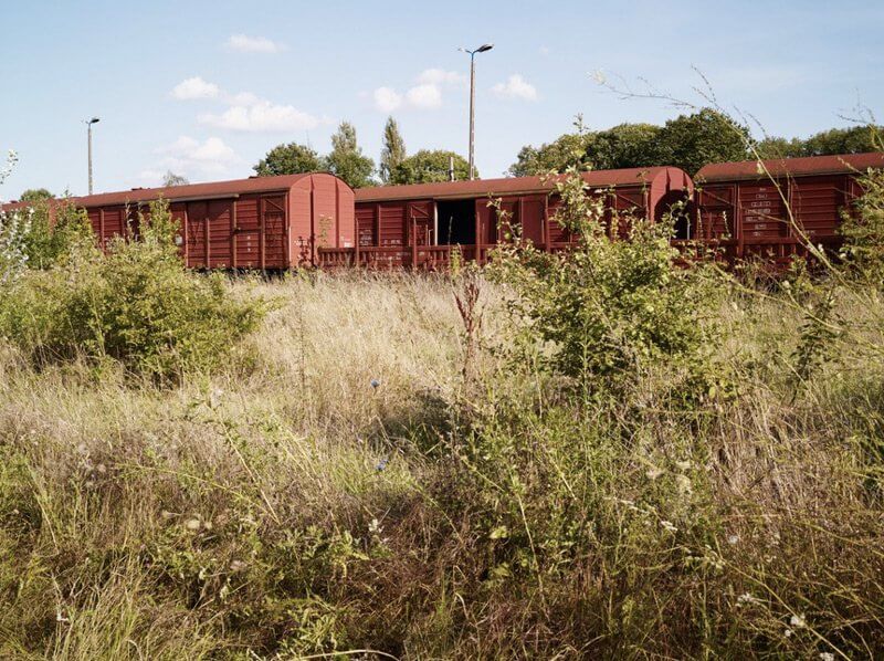 A PUSZTÍTÓ BŐSÉG