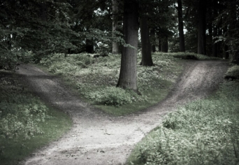 ÉLET-RAJZ