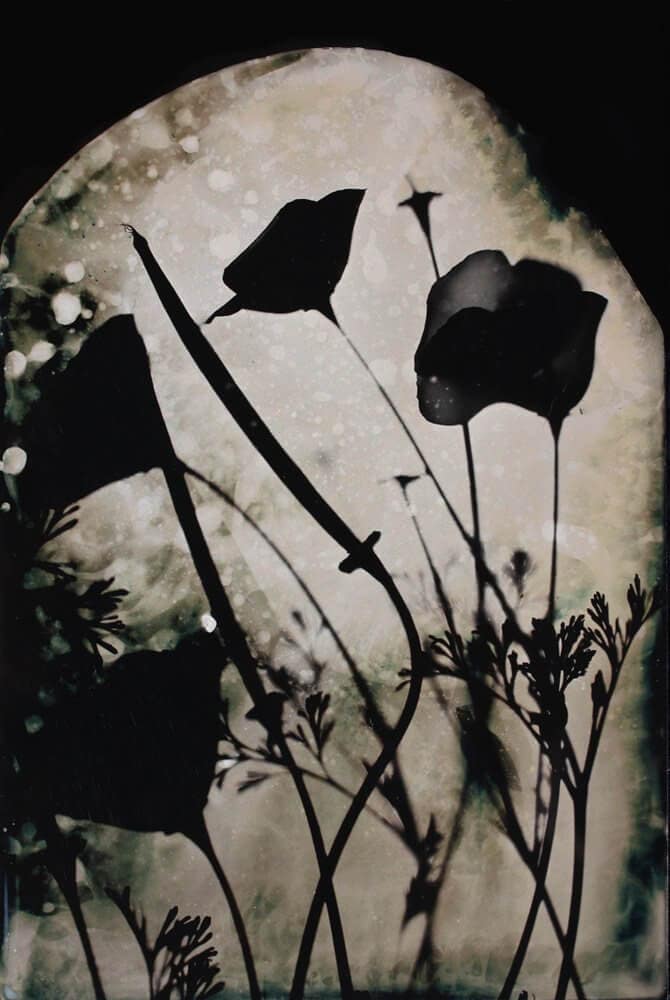 adfa8666-d740-489b-9ea7-b31d49e03f2b