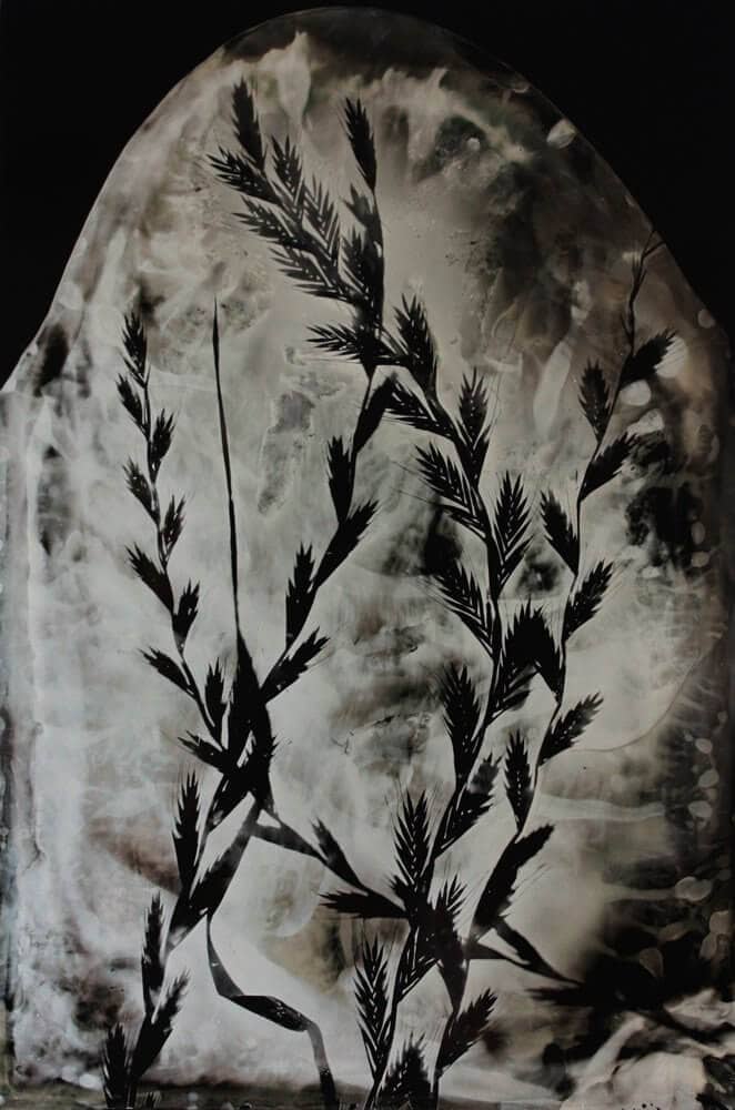 b510ec62-4459-41eb-ba7b-b2081ef81d63