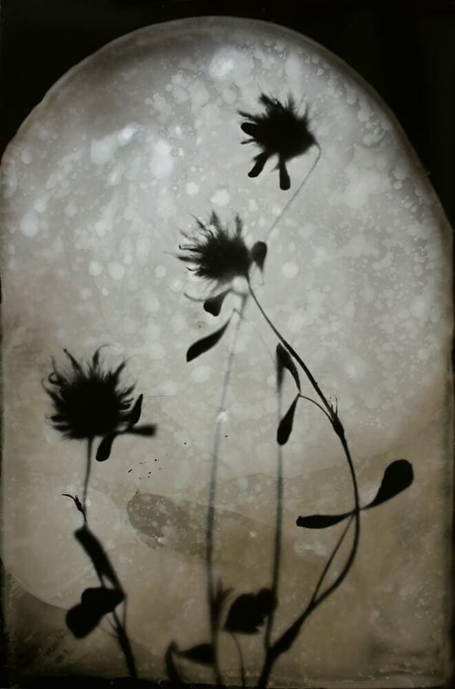 b8a28b50-9a2d-4d99-b5e9-49cae73539e0