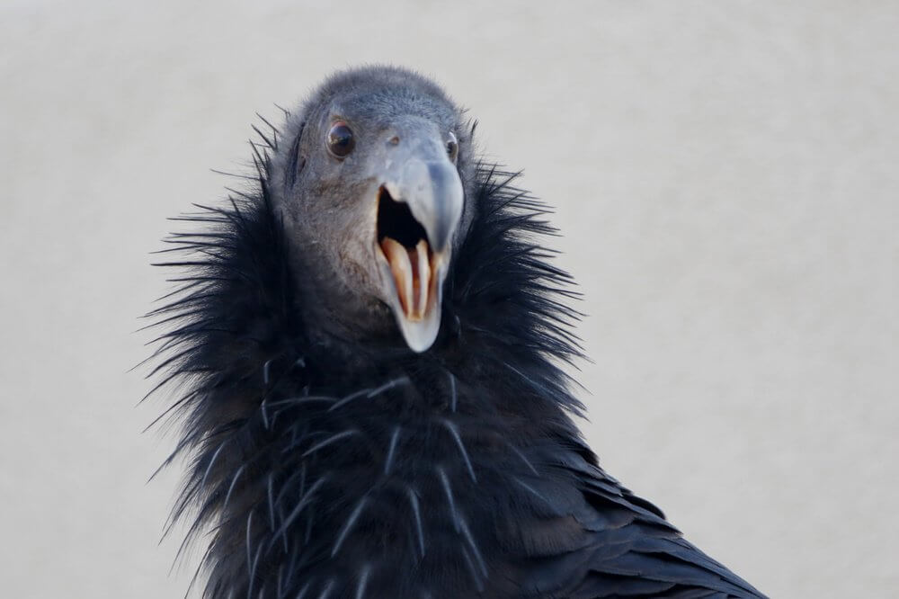 bee8de2b4eb156387a8f142154acc187-large