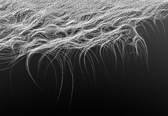 AZ ÖNBECSAPÁS KÉNYSZERE