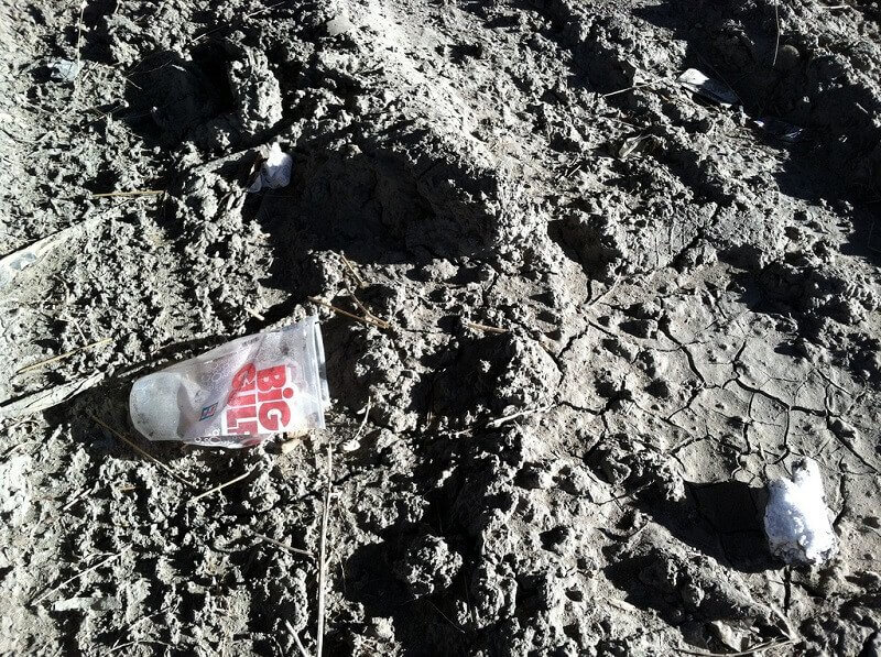 Heather Bowen Ray, flickr.com 