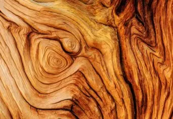 SE LÁTNI, SE HALLANI