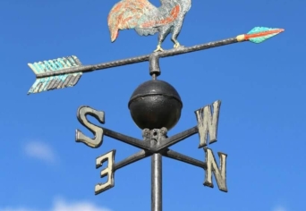 SZÉLKAKAS ÉS PETÚNIA