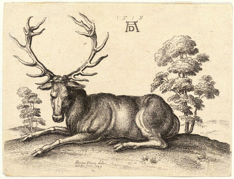durer5