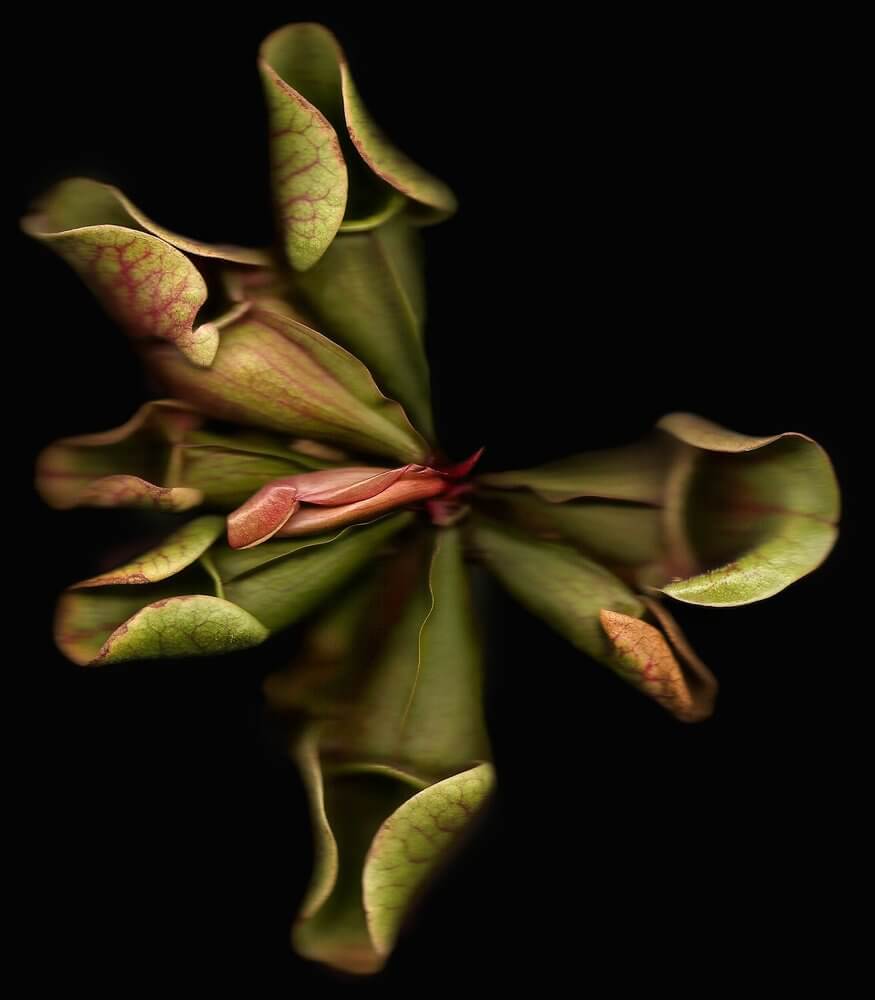 e61523e9-3d02-4602-b3f1-cc9e81470cf3