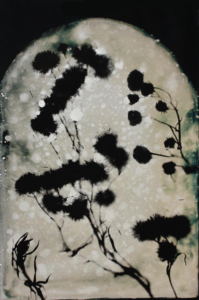 f302e661-01ef-4eb4-9796-1a445cf1e5e0