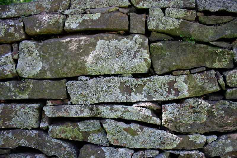 Brenda Clarke, flickr.com