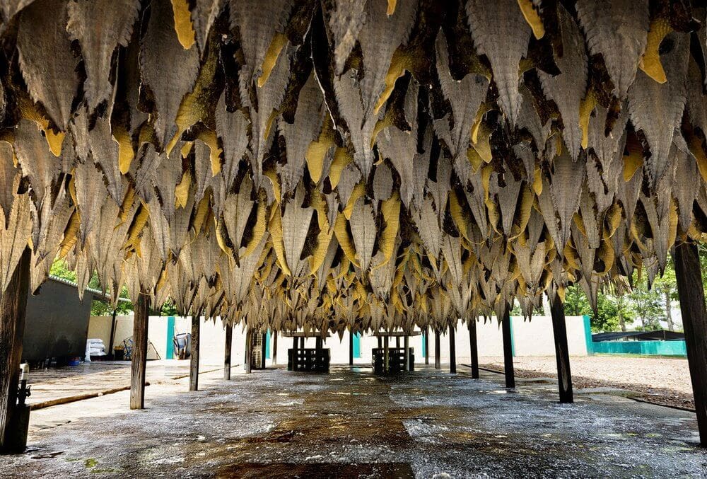 fc98d5dedb6a778856f1bbe545e31ae0-large