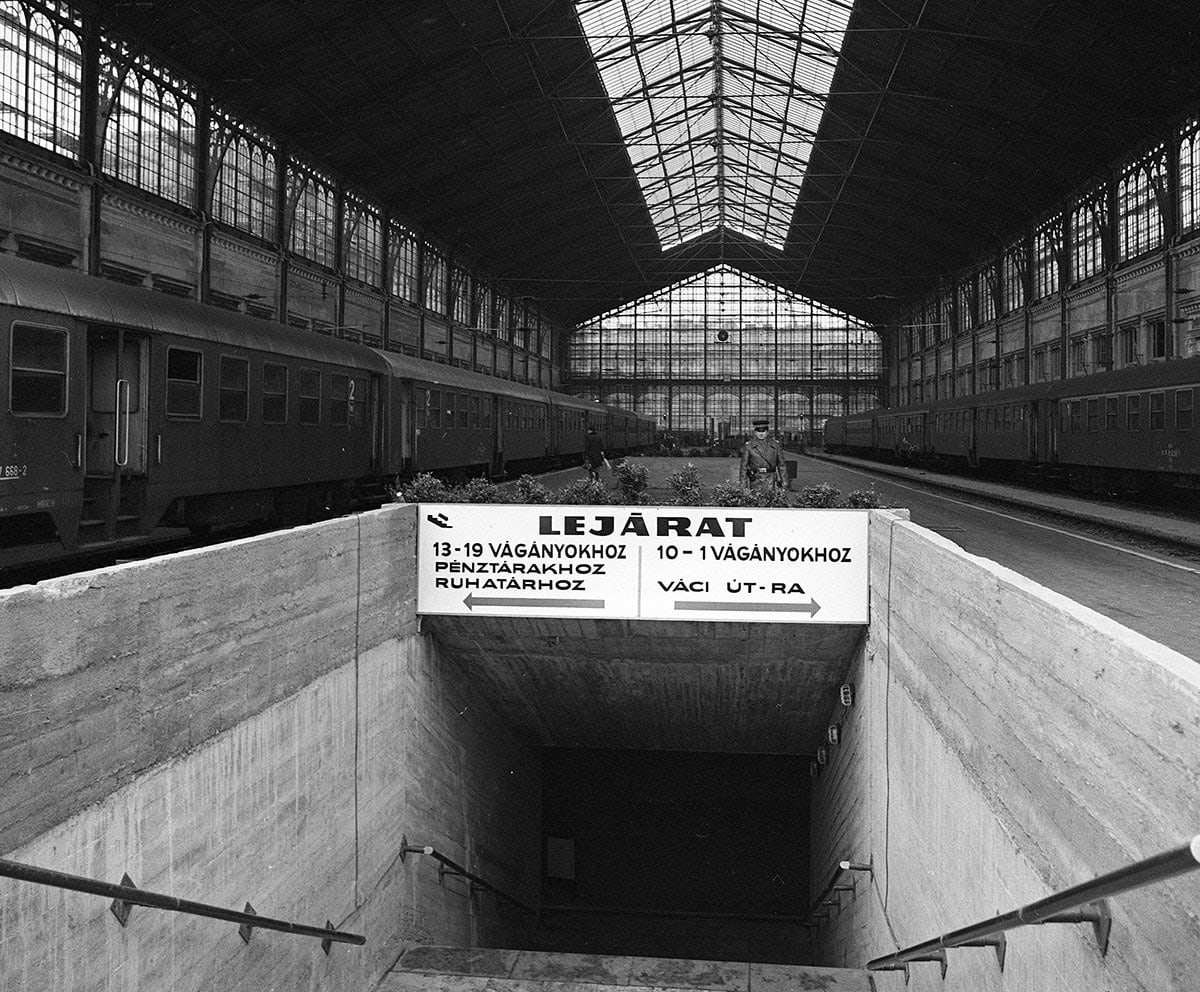 HOGY LEHET A NEVE „KUKI”?