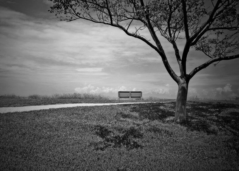 Kelly Rockett, flickr.com 