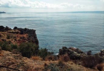 MEDITERRÁNEUM
