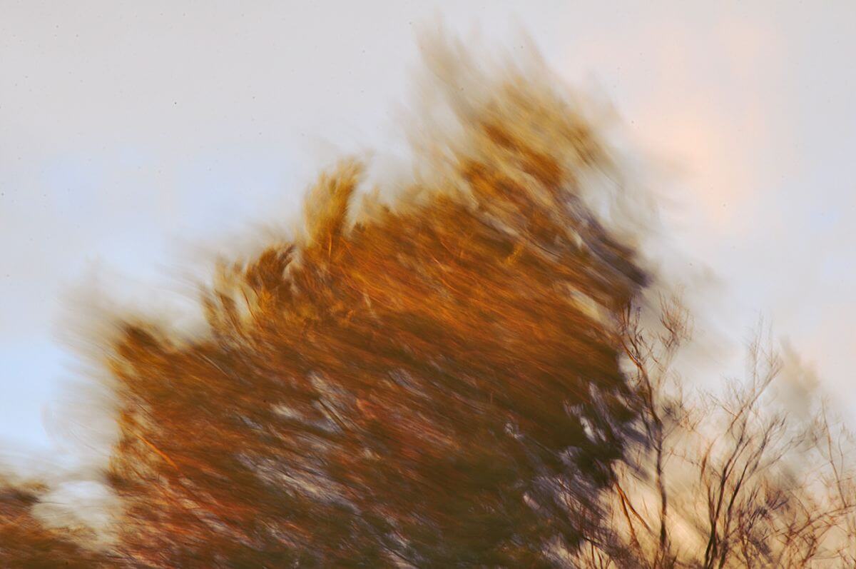 EGY RÍMTELEN SZONETT TÉTJE