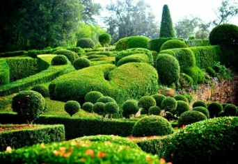 KERT: A HATÁROKON BELÜL