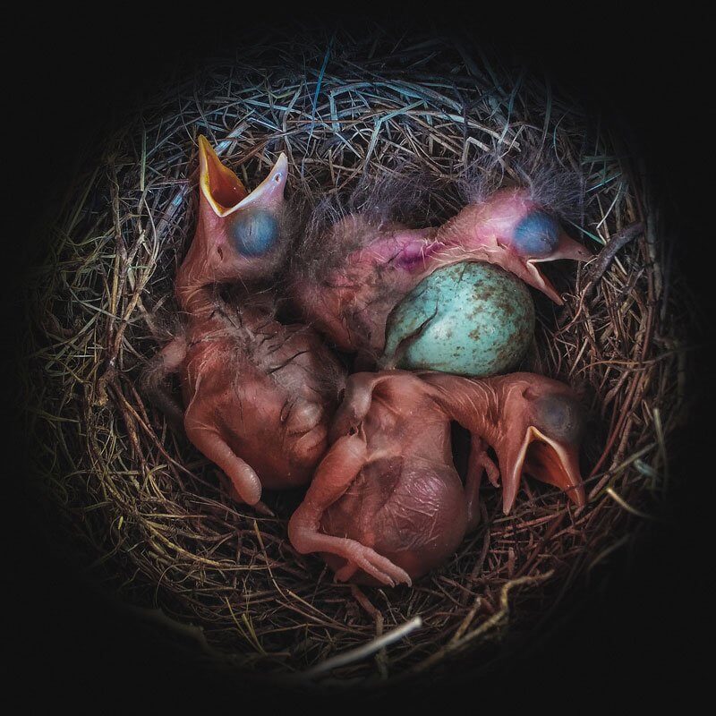 MEGHÍVTAK MINT EGY ABSZINTRA