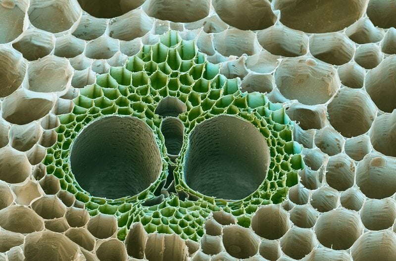 BASF - We create chemistry, flickr.com 