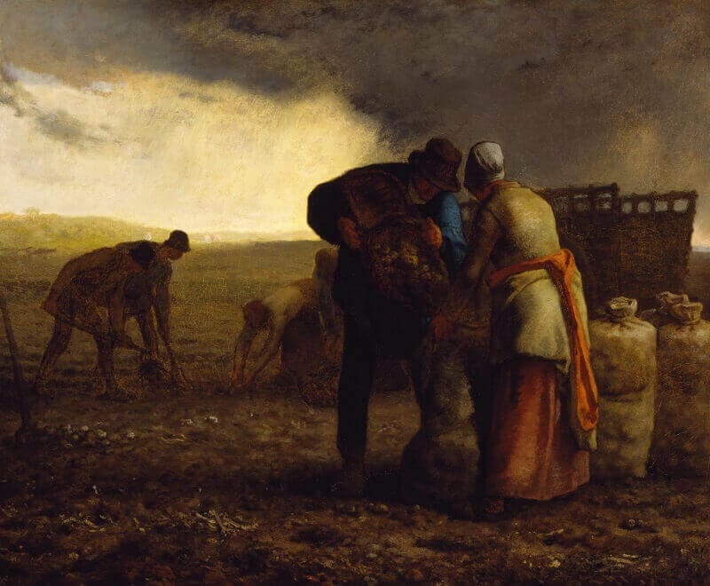 Jean-François Millet: Krumpliszedés