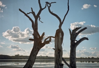 AZ INTEGETŐ HÍRNÖK