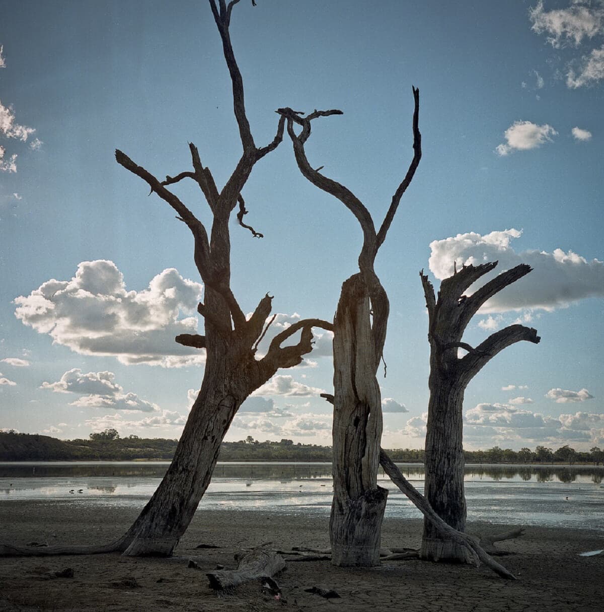 AZ INTEGETŐ HÍRNÖK