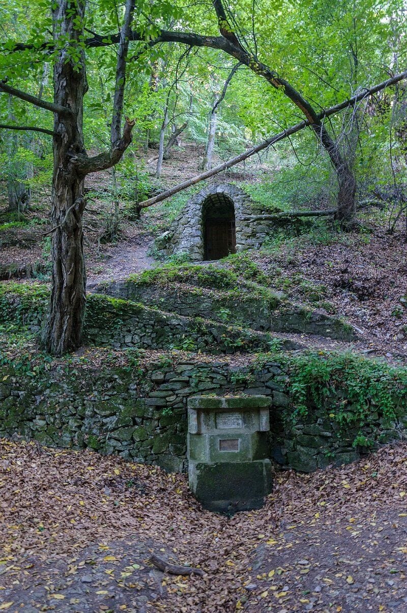 lazar2_0119