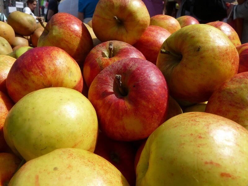 GanMed64, flickr.com 