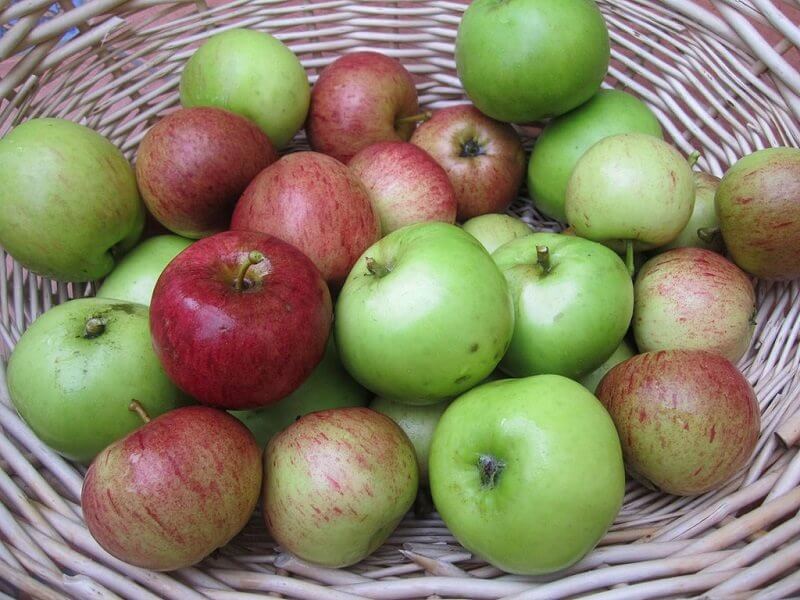 cormac70, flickr.com 