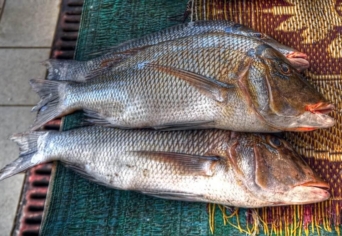 VOLT ÖTÖS A LOTTÓN?