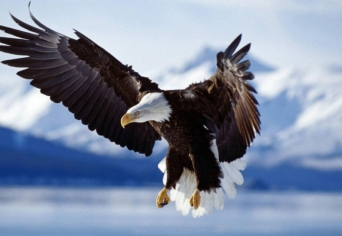 …HALLOM A HÍREKET,